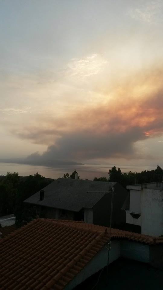 Μαλεσίνα: Εικόνες από τη μεγάλη πυρκαγιά που είναι σε εξέλιξη