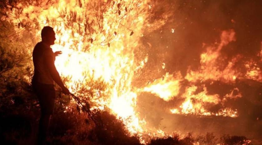Ολονύχτια μάχη με τις φλόγες στη Μαλεσίνα - Μαίνονται τα πύρινα μέτωπα