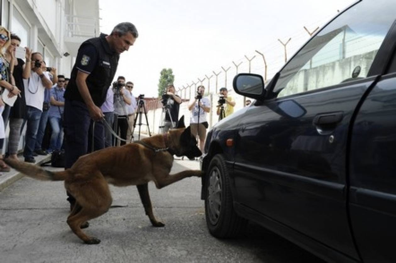 Θεσσαλονίκη: Σκύλοι-ανιχνευτές ψάχνουν λαθραία τσιγάρα σε τελωνεία