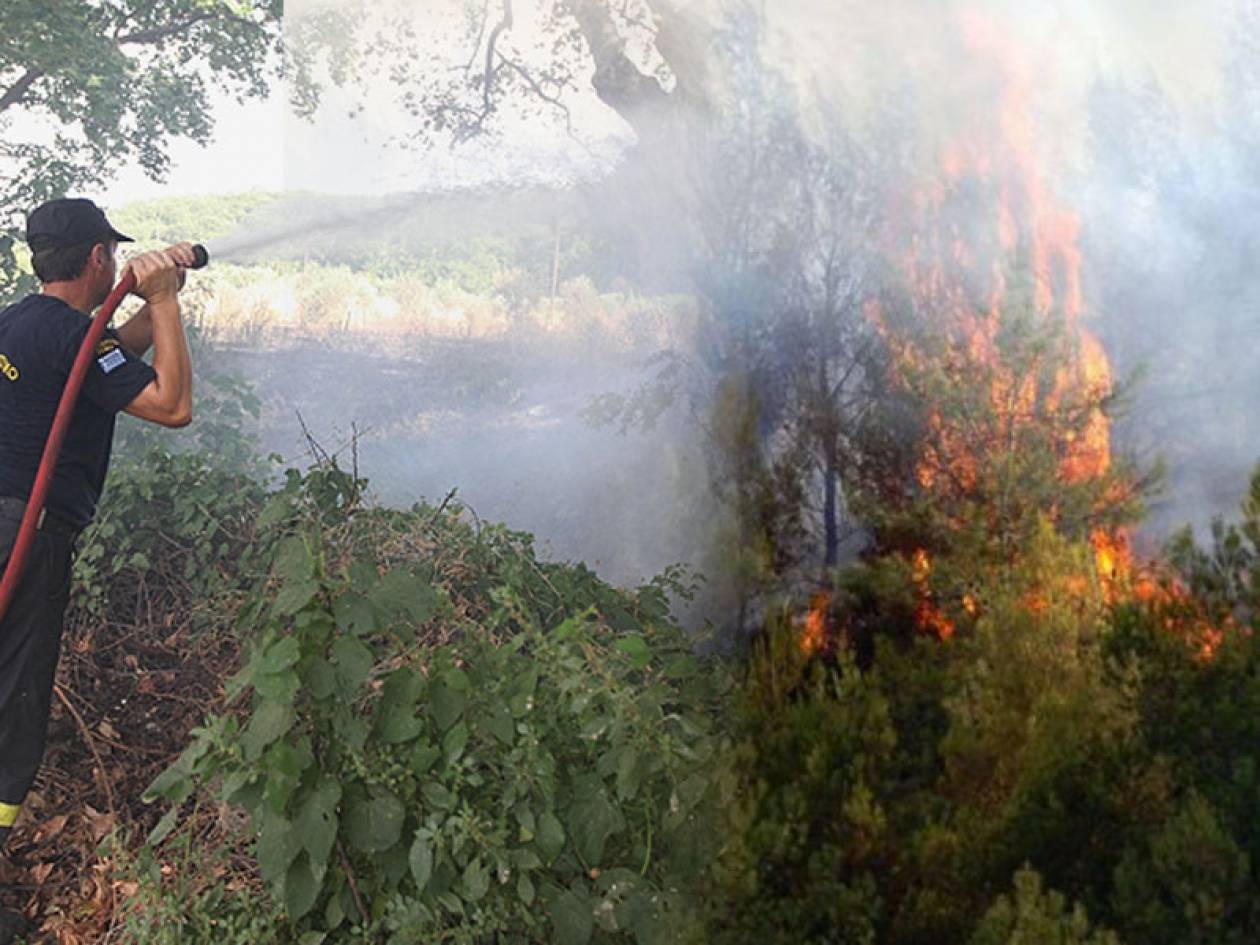 Μάχη με τις φλόγες για 3η μέρα στη Μαλεσίνα - 46 φωτιές σε ένα 24ωρο