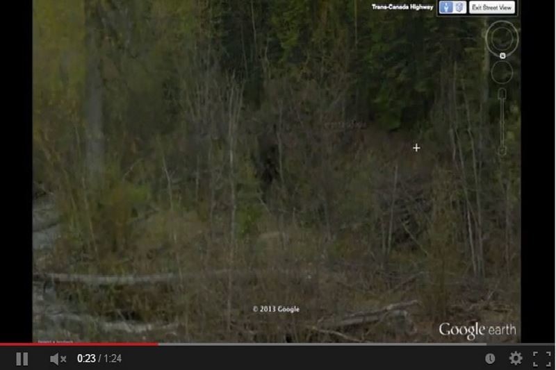 ΗΠΑ: Η πιο «καθαρή» φωτογραφία του Μεγαλοπόδαρου! (photos+video)