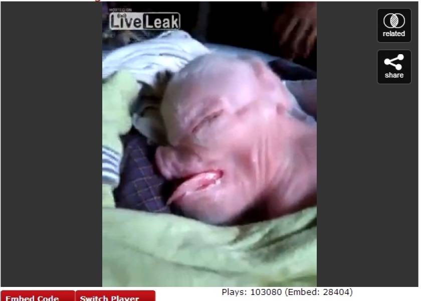 Γεννήθηκε γουρούνι με ανθρώπινο πρόσωπο! (βίντεο)