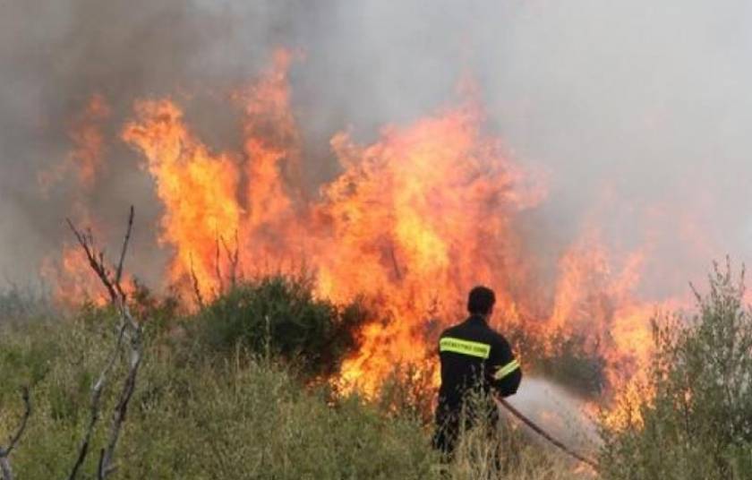 Φωτιές σε Μαγνησία και Θεσσαλία