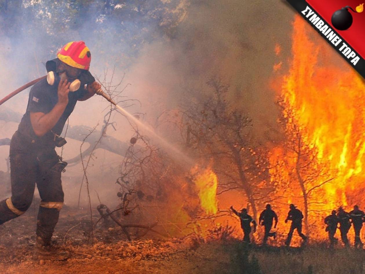 Ανεξέλεγκτη η φωτιά στο Αντισκάρι της Κρήτης - Απειλούνται κατοικίες