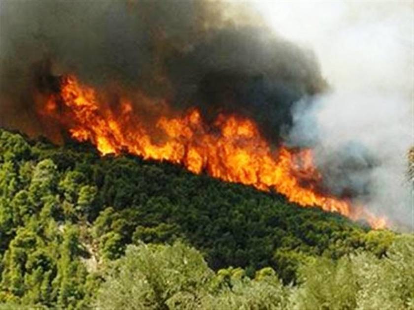 Θεσσαλονίκη: Σε εξέλιξη πυρκαγιά δίπλα στη λίμνη Κορώνειας