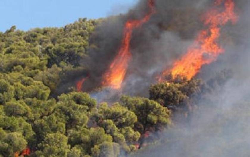 Ζάκυνθος: Σε εξέλιξη πυρκαγιά στην περιοχή Σκοπός