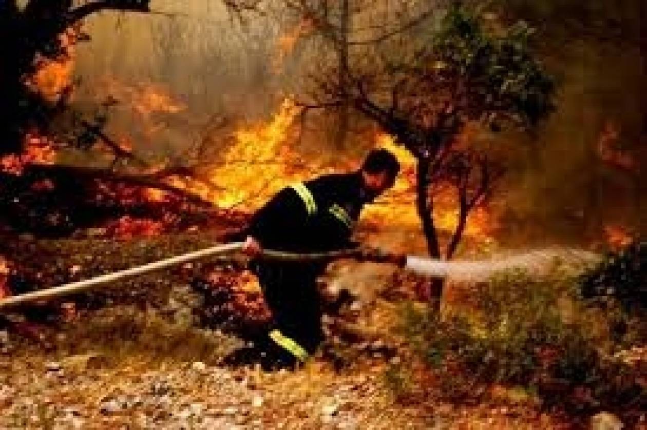 Άρτα: Πυρκαγιά στο δάσος σε κοντινή απόσταση από το νοσοκομείο