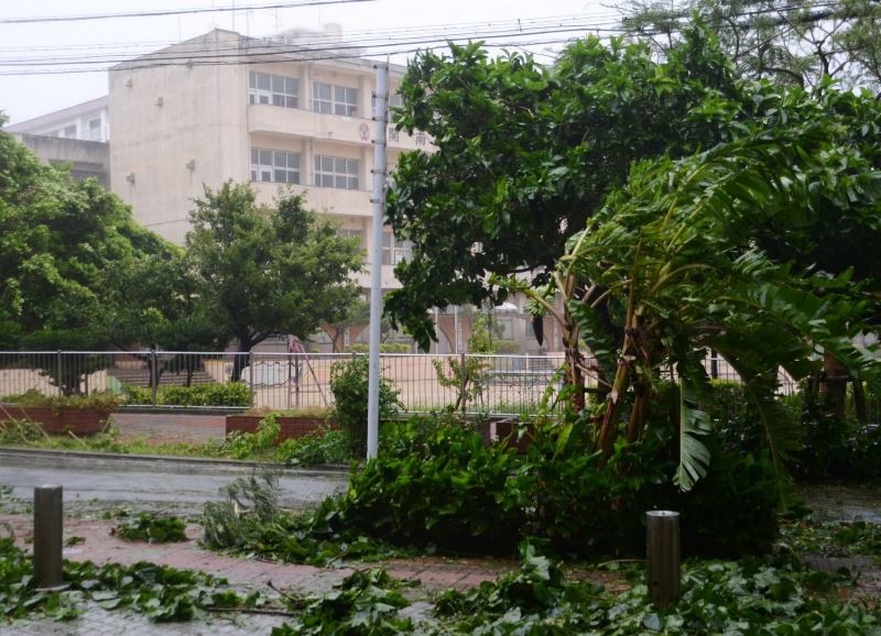 Απλά ένας Ιάπωνας που λούζεται στον τυφώνα! (video+photos)