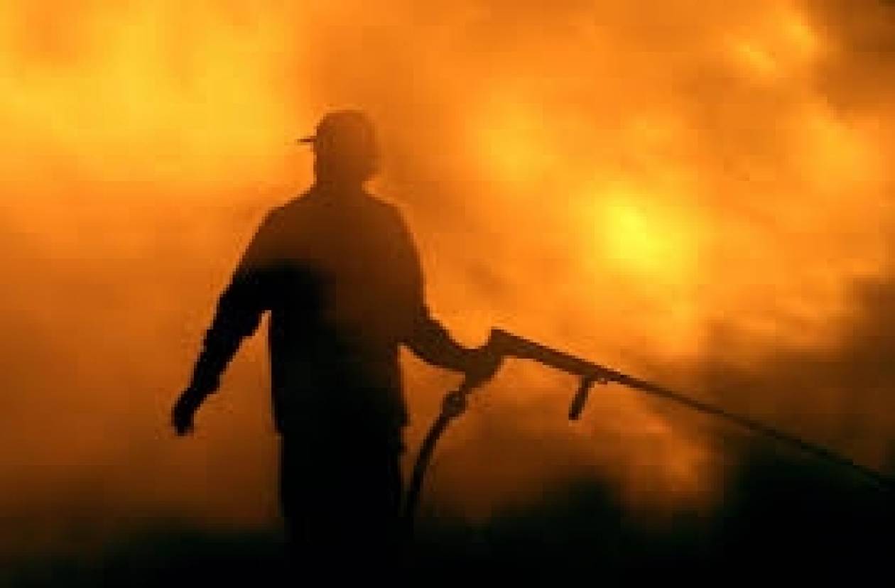 Πυρκαγιά και στη Δομβραίνα Βοιωτίας