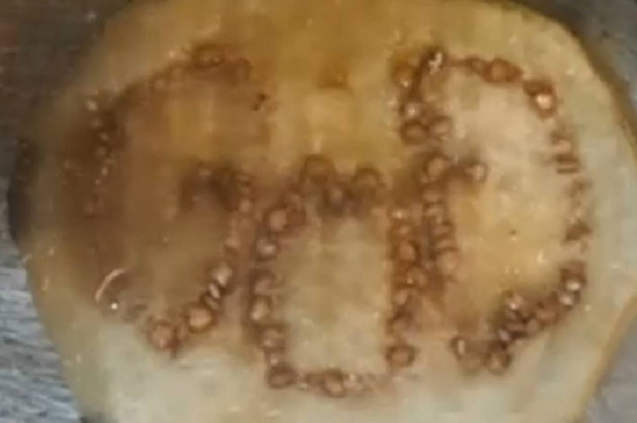 ΗΠΑ: Είδε το… Θεό σε μια μελιτζάνα! (video+photos)