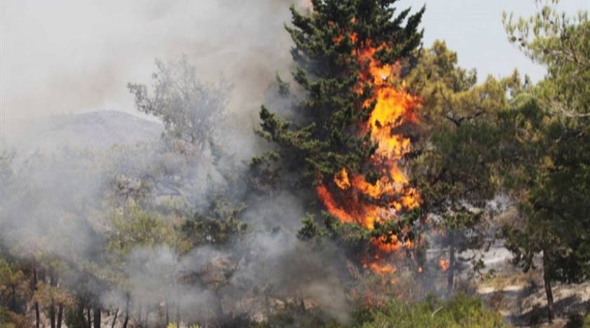 Δύο φωτιές σε εξέλιξη στο νομό Λάρισας