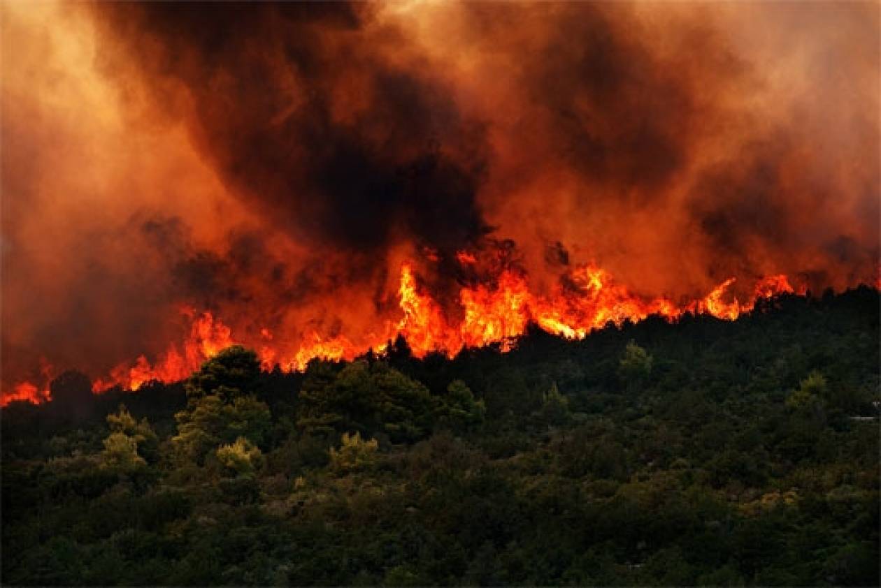 Χαλκιδική: Πυρκαγιά σε εξέλιξη στο Άγιο Όρος