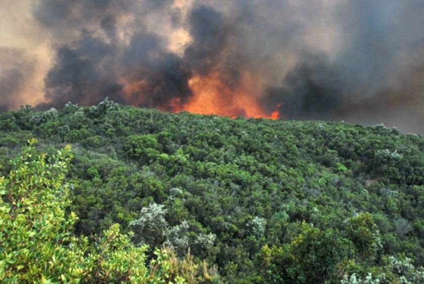 Χαλκιδική: Υπό μερικό έλεγχο η πυρκαγιά στο Άγιο Όρος