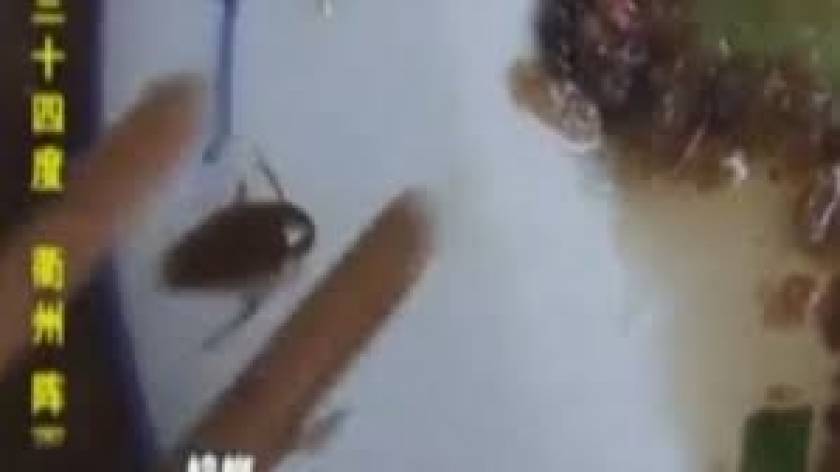 Σερβιτόρα τρώει κατσαρίδα για να εξαφανίσει τα... στοιχεία! (βίντεο)