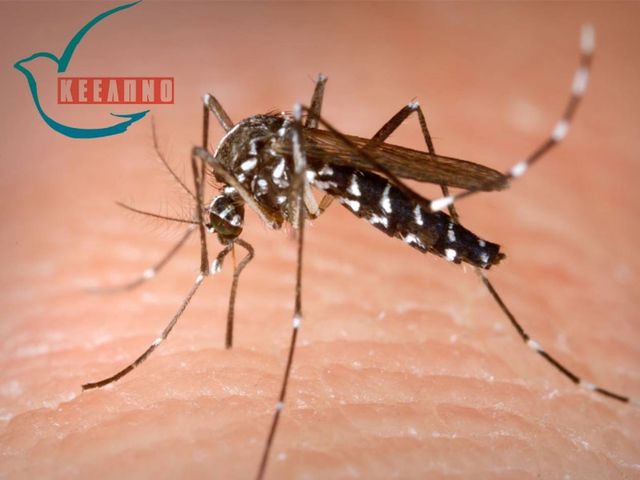 Ιός του Δυτικού Νείλου: Πώς να προφυλαχτείτε από τα κουνούπια