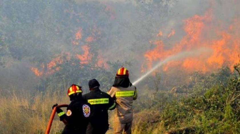 Λέσβος: Πυρκαγιά σε πευκοδάσος στα Βασιλικά