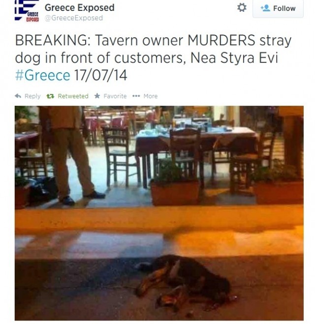 ΚΤΗΝΩΔΙΑ: Ιδιοκτήτης ταβέρνας σκότωσε σκύλο μπροστά στους θαμώνες!