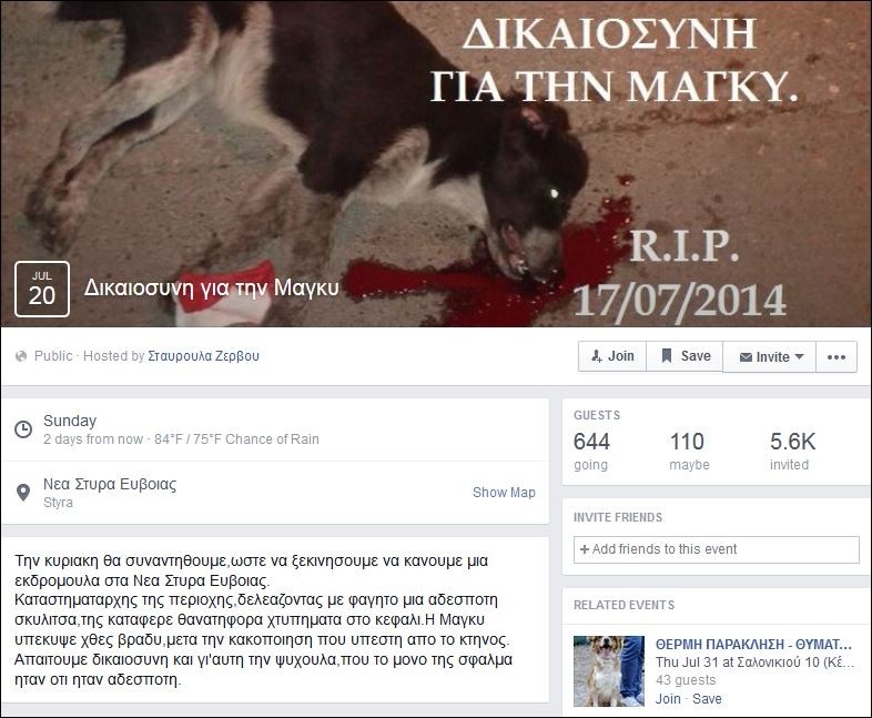 Εύβοια: Συγκέντρωση και σελίδα στο facebook για την αδέσποτη «Μάγκυ»