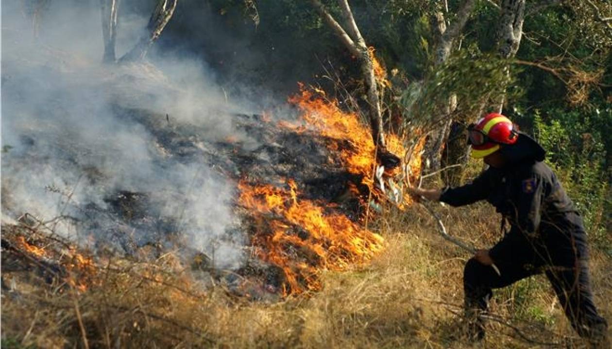 Λάρισα: Για 20 ώρες έκαιγε η φωτιά στην Αμυγδαλέα