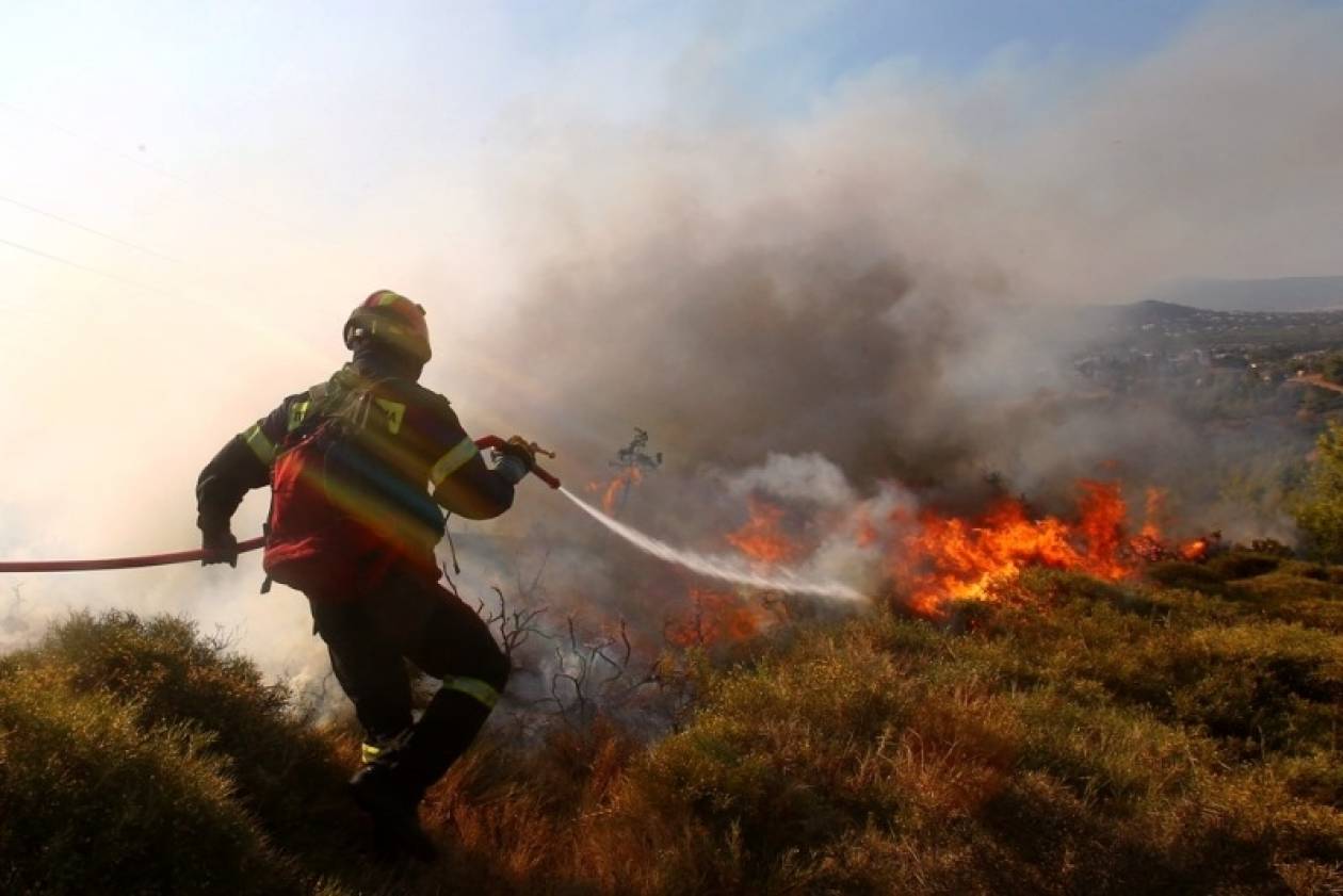 Κρήτη: Φωτιά έκαψε τουλάχιστον 15 στρέμματα με ελαιόδεντρα
