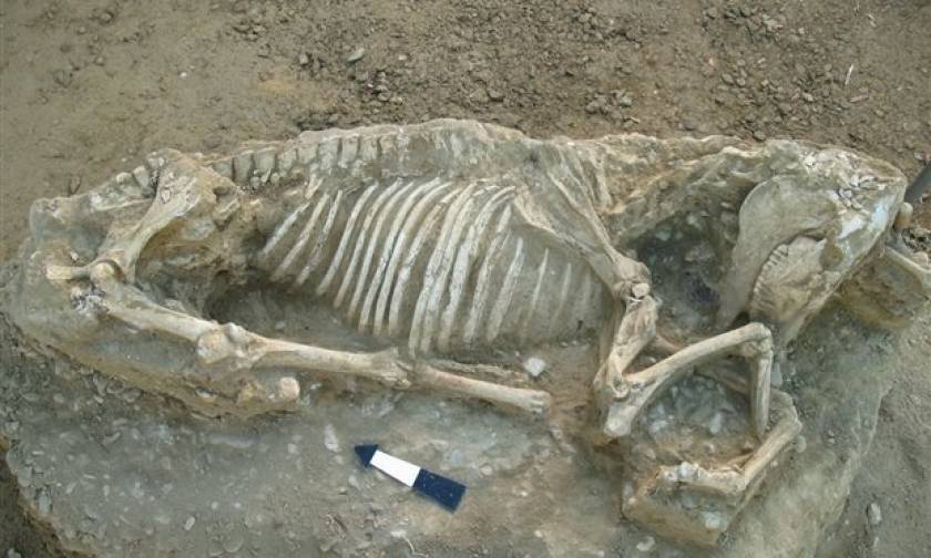 Chios: Excavations reveal ancient necropolis