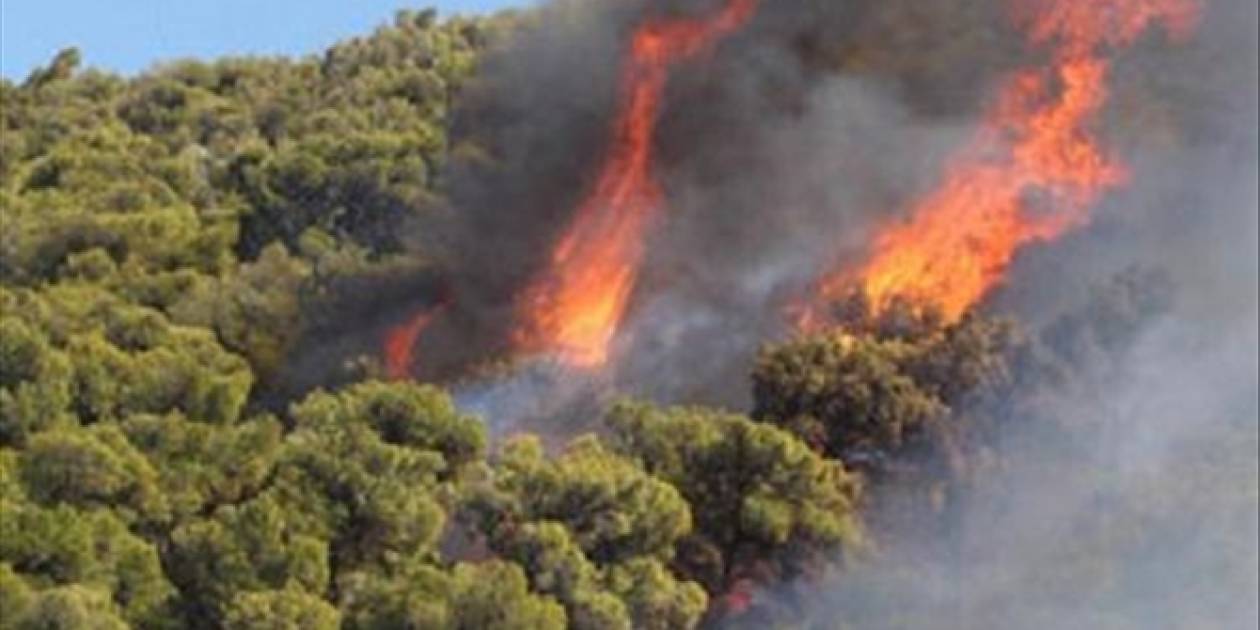 Σε εξέλιξη πυρκαγιά στο Μαλανδρένι Άργους