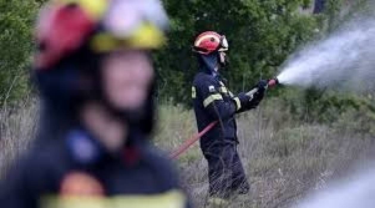 Ζάκυνθος: Υπό έλεγχο η φωτιά στο Φιολίτι