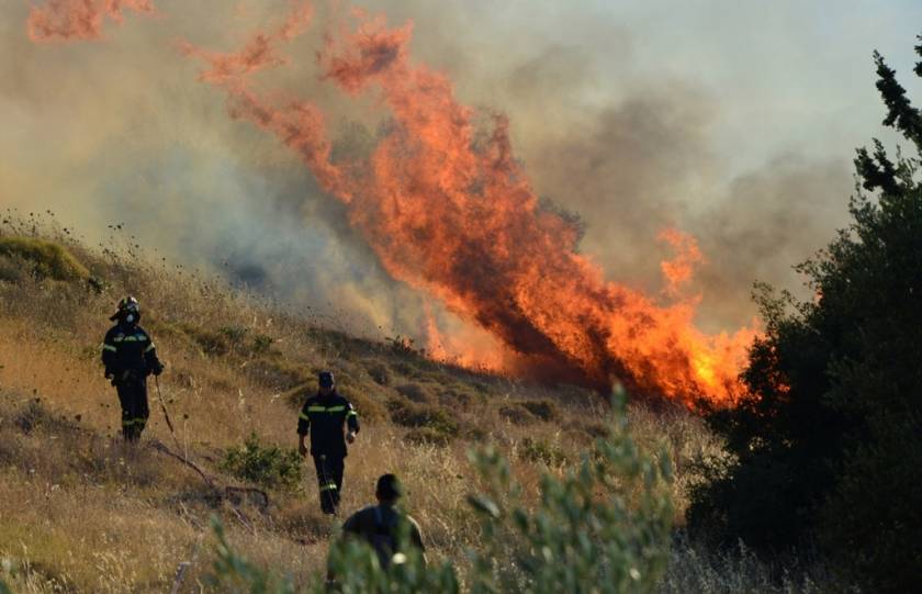 Λάρισα: Μεγάλη φωτιά σε εξέλιξη στο Νέο Περιβόλι