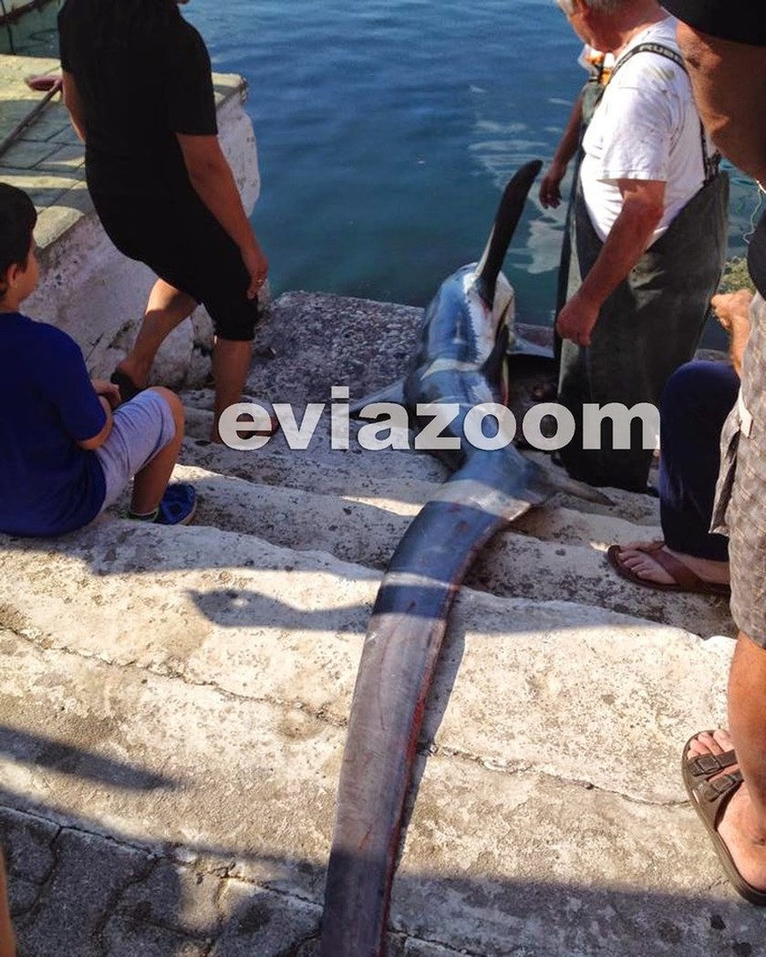 Αλιβέρι: Η ψαριά που κάνει θραύση στα social media (pics)