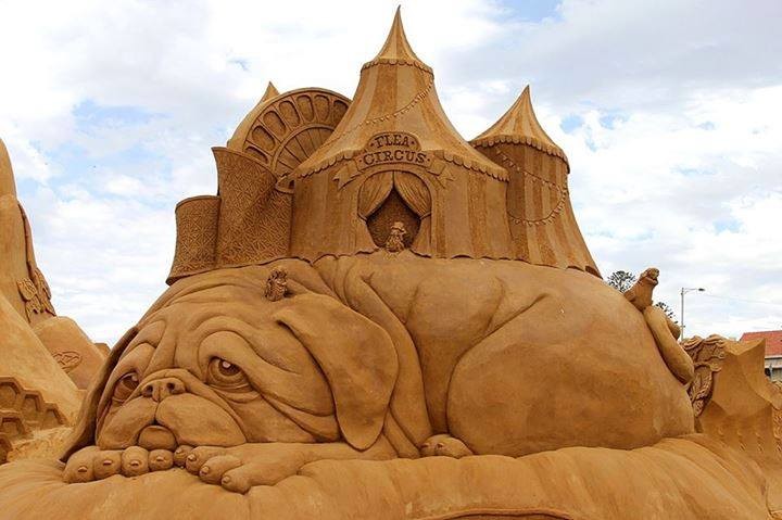 Masterpieces in the sand (photos + videos)
