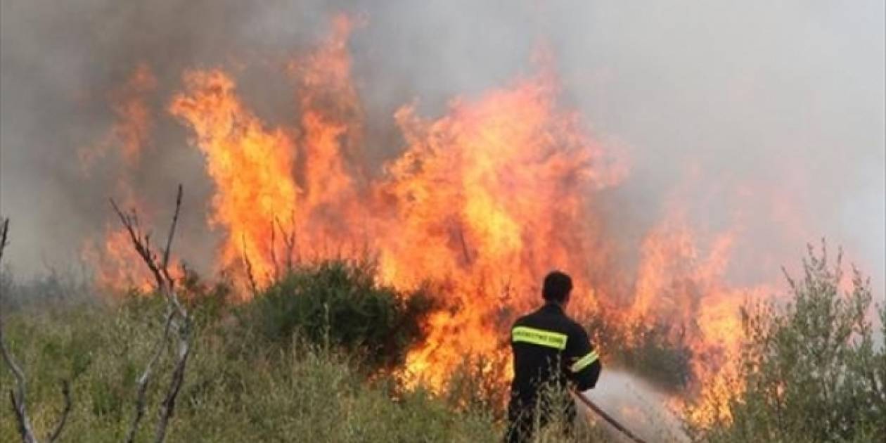 Κρήτη: Υπό μερικό έλεγχο η φωτιά στην Αγία Φωτεινή Αμαρίου