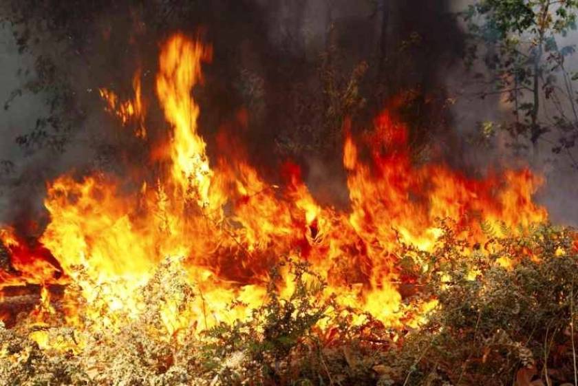 Μεσολόγγι: Πυρκαγιά κοντά στο Κρυονέρι