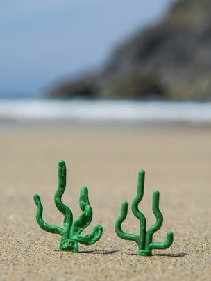 Απίστευτο: Παραλία ξεβράζει Lego (pics)