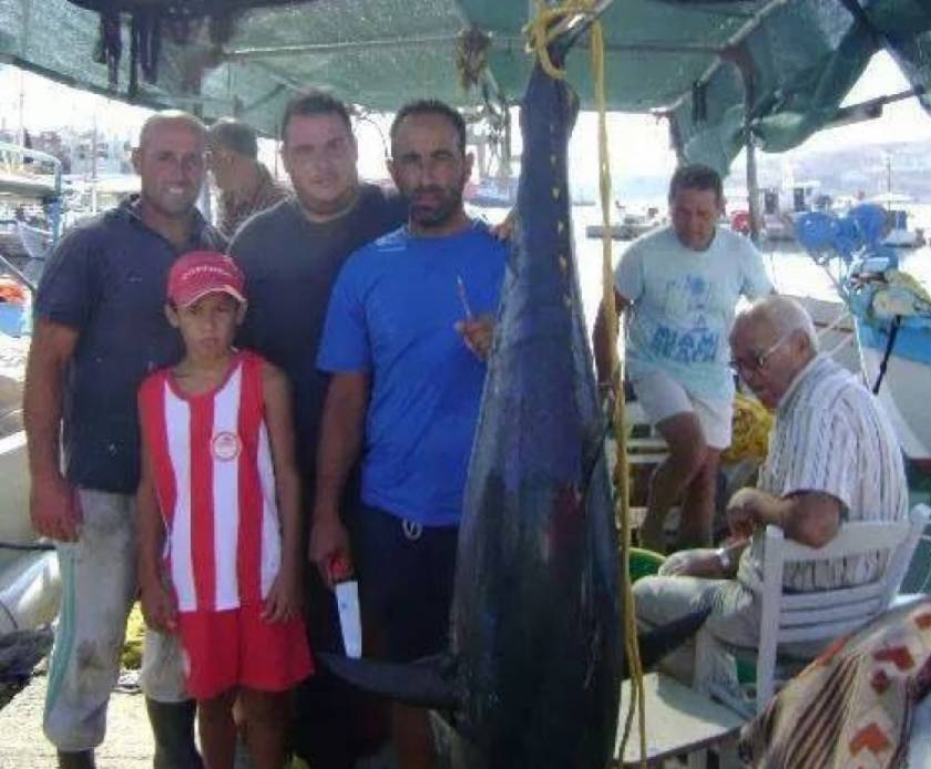 Σύρος: Αυτή είναι η ψαριά του καλοκαιριού