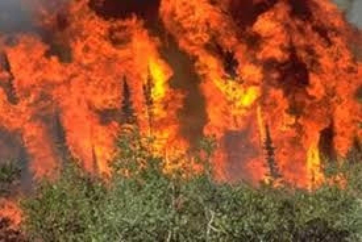 Ζάκυνθος: Μεγάλη πυρκαγιά στην περιοχή Σκοπός