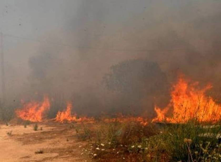 Ηγουμενίτσα: Πυρκαγιά ξέσπασε κοντά σε σπίτια στην Πλαταριά Θεσπρωτίας