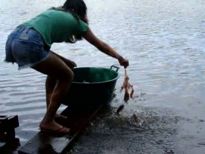 Βίντεο: Έτσι ψαρεύουν πιράνχας στη Βραζιλία
