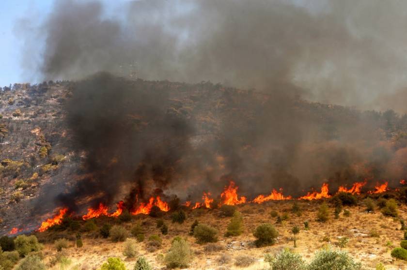 Κόρινθος: Συναγερμός στην Πυροσβεστική - Μεγάλη φωτιά στο Στεφάνι