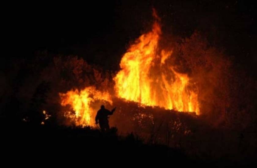 Μεγάλη πυρκαγιά στη Λακωνία – Πνέουν θυελλώδεις άνεμοι