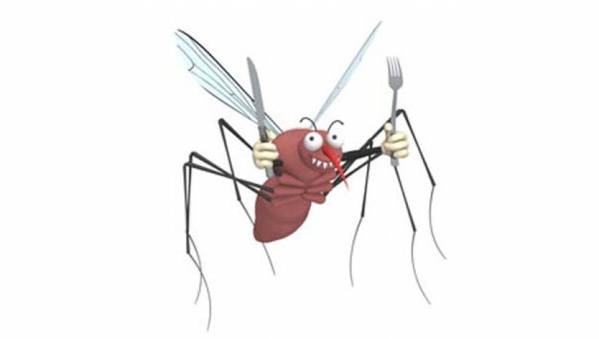 Το ξέρατε; Γιατί μας τσιμπούν τα κουνούπια;