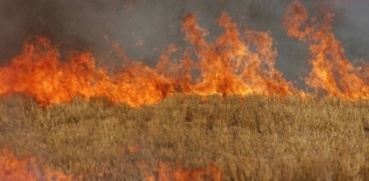 Λάρισα: Πυρκαγιά σε αγροτική περιοχή κοντά στα Βούναινα