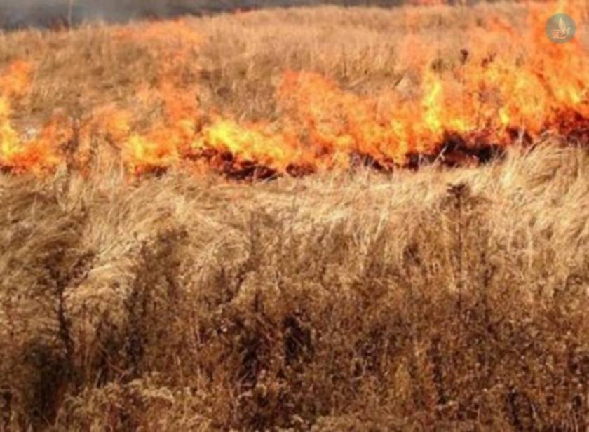 Ρόδος: Φωτιά στον Καλαμώνα