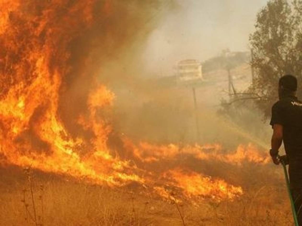 Κρήτη: Πυρκαγιά στην Σητεία