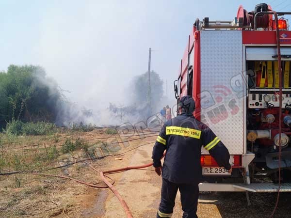 Πρέβεζα: Κινδύνεψαν σπίτια από πυρκαγιά (pics&vid)