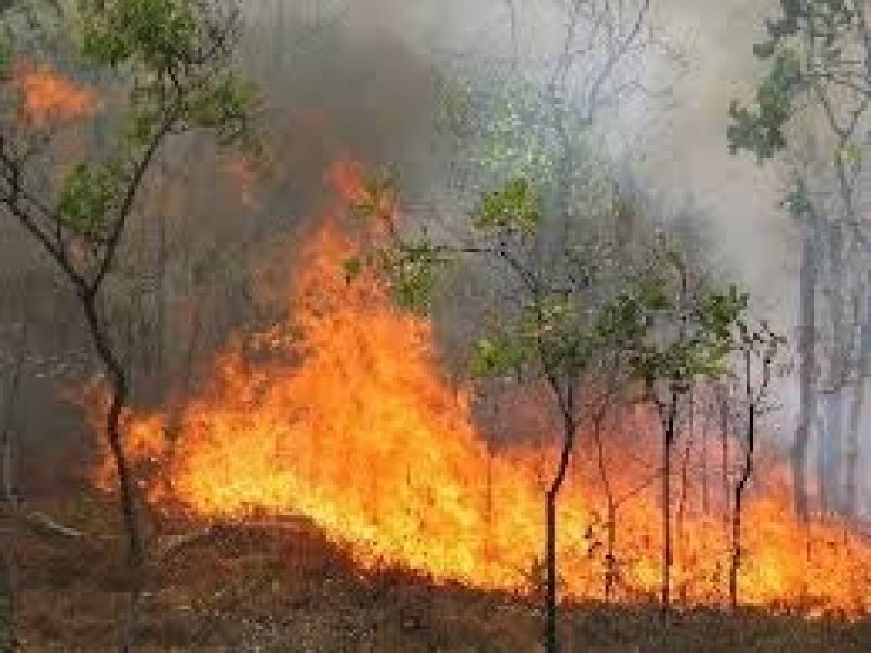 Ρέθυμνο: Σε εξέλιξη πυρκαγιά στο Γερακάρι