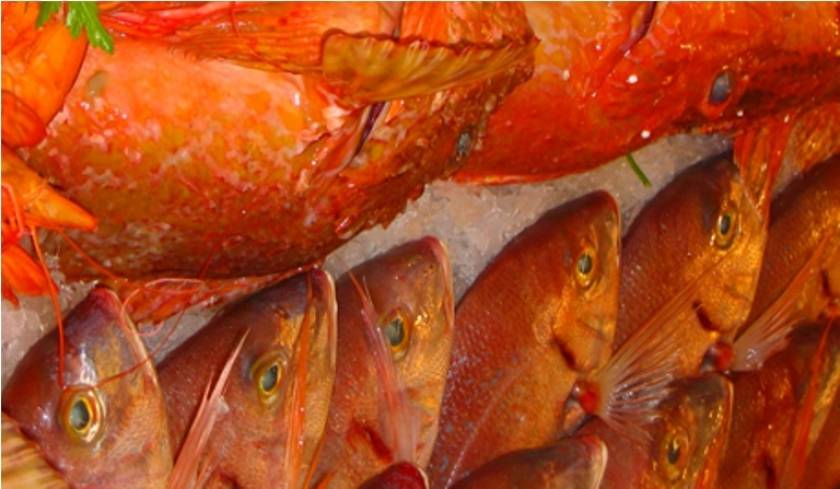 ΣΕΘ:Θα «βυθιστεί» η ρωσική αγορά ψαριού λόγω εμπάργκου