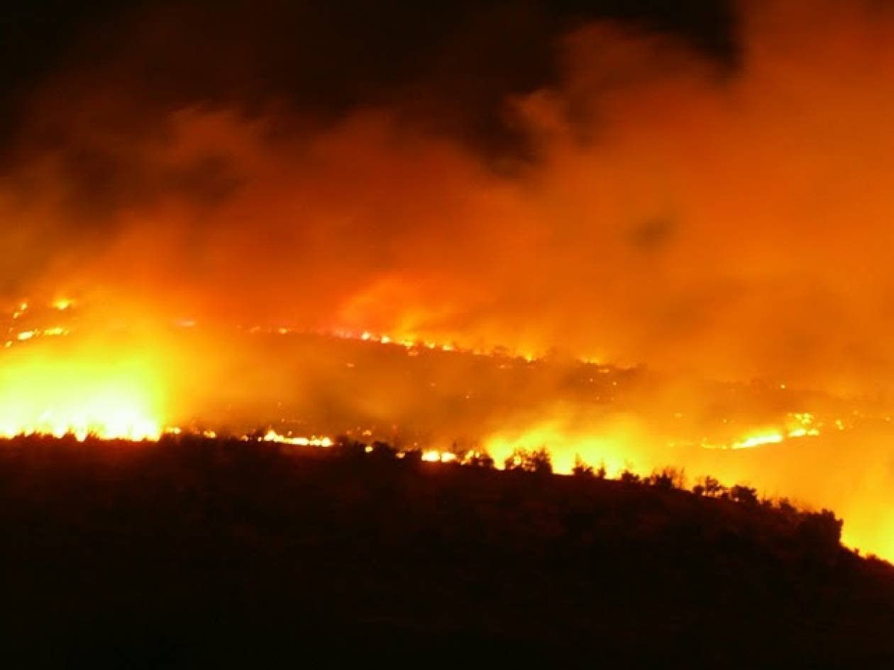 Λαμία: Στις φλόγες η περιοχή της Δαμάστας