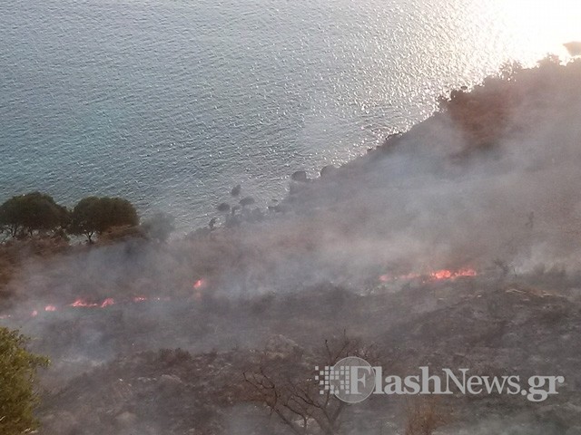 Κρήτη: Πυρκαγιά στο Πλατάνι της Σούδας (pics)