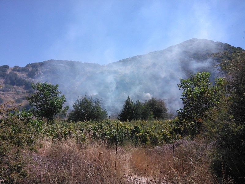Λευκάδα: Πυρκαγιά στο οροπέδιο της Εγκλουβής (pics)