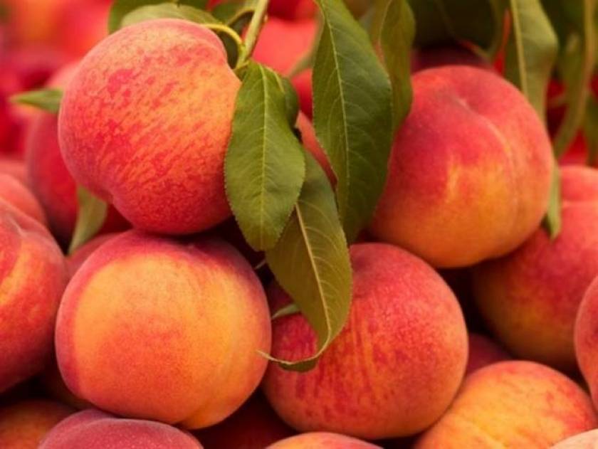 Free peach distribution to socially vulnerable groups to begin shortly, minister says